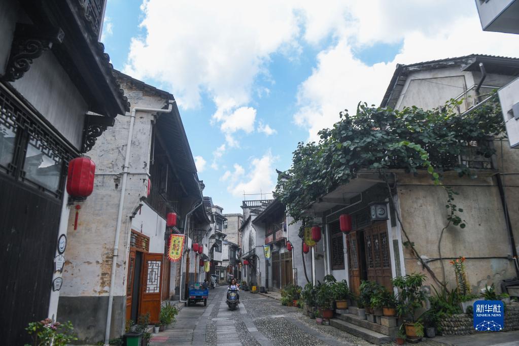 岚图“叫好不好座”,卢放“心余力不足”